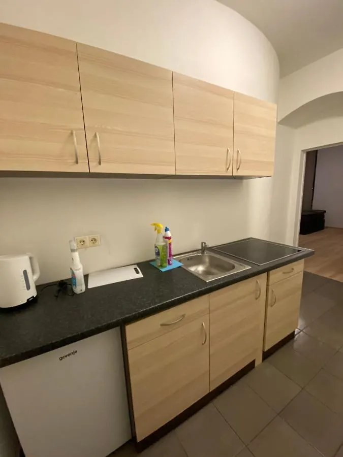 Niceapartmentgellertgasse 维也纳